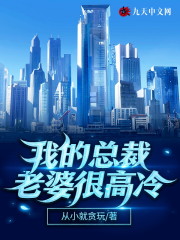 我的总裁老婆很高冷叶川苏柔雪，我的总裁老婆很高冷小说免费阅读-优文网