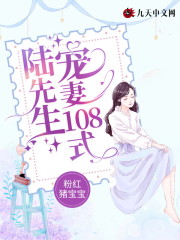 陆先生宠妻108式免费阅读