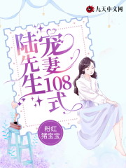 小说《陆先生宠妻108式》全文免费阅读-锤石文学