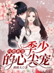 闪婚新爱：季少的心尖宠免费阅读