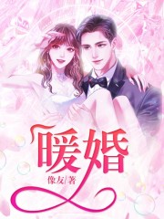 暖婚全文在线阅读，暖婚小说免费版-优文网