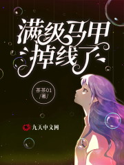 满级马甲掉线了免费阅读