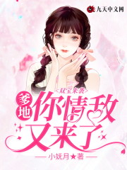 已完结小说《双宝来袭：爹地，你情敌又来了》在线全文阅读-优文网