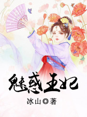 魅惑王妃全文在线阅读，魅惑王妃小说免费版-优文网