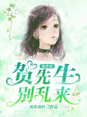 贺先生，别乱来向晚贺寒川小说大结局免费试读-优文网