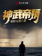 神武帝婿林莫苏筱筱小说免费阅读