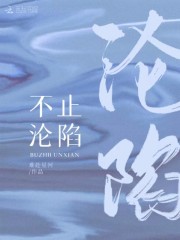 小说《不止沦陷》全文阅读