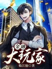 金融大玩家全文在线阅读，金融大玩家小说免费版-优文网