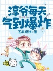 淳爷每天气到爆炸全文在线阅读，淳爷每天气到爆炸小说免费版-优文网