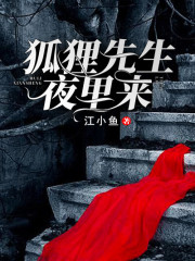 已完结小说《狐狸先生，夜里来》在线全文阅读