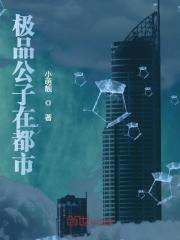 极品公子在都市萧叶夏槿汐，极品公子在都市小说免费阅读-经典文学