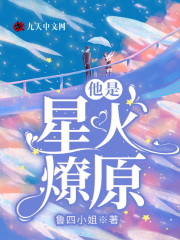 他是星火燎原全文在线阅读，他是星火燎原小说免费版-优文网