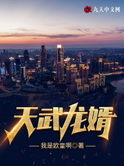 天武龙婿小说，天武龙婿江林苏如雪江婉-优文网