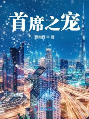 首席之宠全文在线阅读，首席之宠小说免费版-优文网