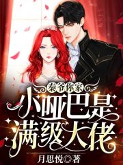 《秦爷的哑巴新娘》全集免费在线阅读（夜彩糖秦若寒）-优文网