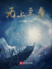 无上至尊免费阅读