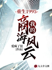 重生1995，我的商海风云全文在线阅读，重生1995，我的商海风云小说免费版-优文网