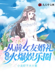 小说《从前女友婚礼开始火爆娱乐圈》全文免费阅读-锤石文学