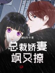 总裁娇妻飒又撩小说txt百度云资源，总裁娇妻飒又撩完整版