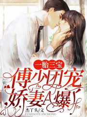 一胎三宝：傅少团宠娇妻A爆了全文在线阅读，一胎三宝：傅少团宠娇妻A爆了小说免费版-优文网