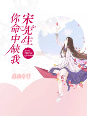 宋先生，你命中缺我全文在线阅读，宋先生，你命中缺我小说免费版-优文网