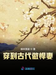 小说《穿到古代做悍妻》全文免费阅读-锤石文学