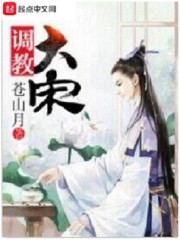 我的大宋不能输！唐奕小说免费阅读