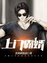 上门霸婿全文在线阅读，上门霸婿小说免费版-优文网