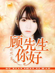 顾先生，你好免费阅读