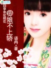 囧穿命犯桃花：新娘不上轿全文在线阅读，囧穿命犯桃花：新娘不上轿小说免费版-优文网