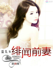 盛先生的绯闻前妻免费阅读