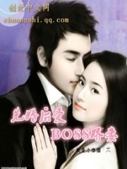 小说《先婚后爱：BOSS娇妻》全文免费阅读-锤石文学