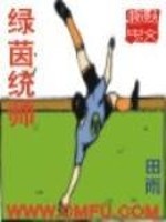绿茵统帅全文在线阅读，绿茵统帅小说免费版-优文网