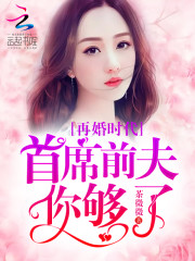 再婚时代：首席前夫你够了免费阅读
