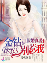 小说《假婚真爱：金钻BOSS别惹我》全文免费阅读-锤石文学