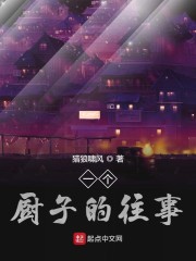 小说《一个厨子的往事》全文免费阅读-锤石文学