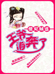 傻妃贼逗：王爷泪奔了免费阅读
