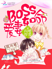 小说《闪婚厚爱：boss爱妻如命》全文免费阅读-锤石文学