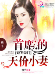 婚宠豪门：首席的天价小妻免费阅读