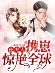 小说《夜夫人携崽惊艳全球》在线全文阅读-优文网