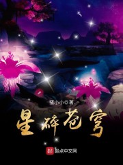 星碎苍穹免费阅读