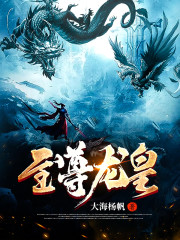 陈凡陈敏小说叫什么（至尊龙皇免费阅读）