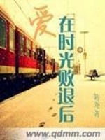 小说《爱在时光败退后》全文免费阅读-锤石文学