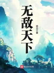 无敌天下最新章节，无敌天下全文在线阅读