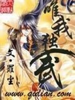 唯我独武免费阅读