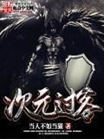 次元过客全文在线阅读，次元过客小说免费版-优文网