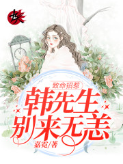 小说《致命招惹：韩先生，别来无恙》全文免费阅读-优文网