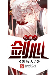 银魂之剑心免费阅读