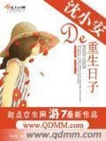 沈小安的重生日子全文在线阅读，沈小安的重生日子小说免费版-优文网