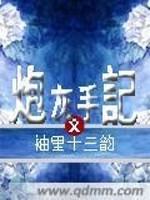 炮灰手记全文在线阅读，炮灰手记小说免费版-优文网